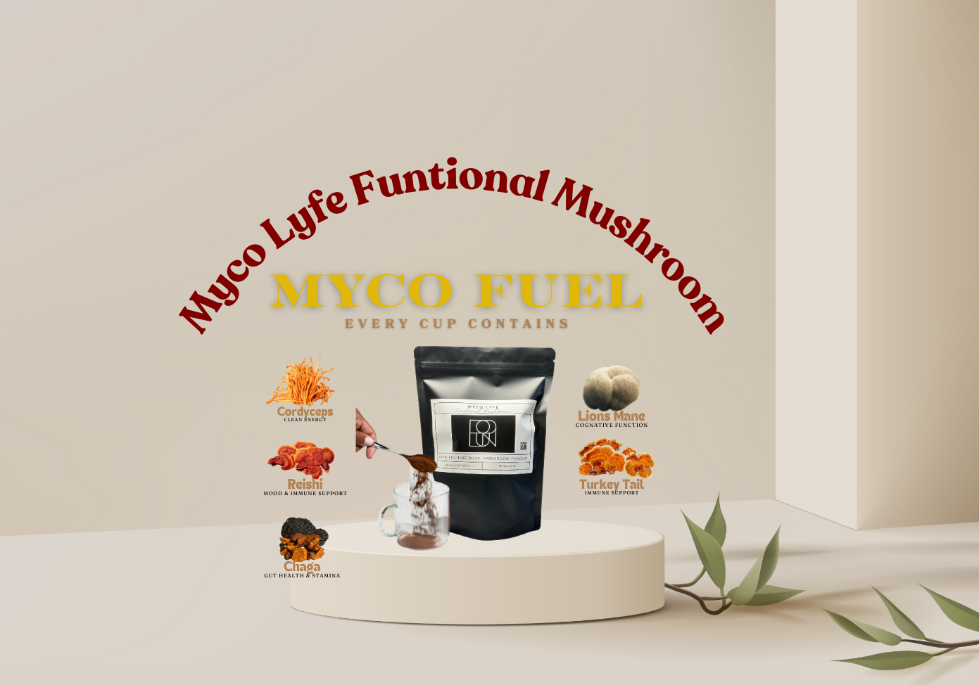 Myco Lyfe Functional Mushroom Blends