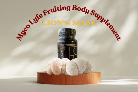 Mushroom Fruiting Body Supplements - Lions Mane