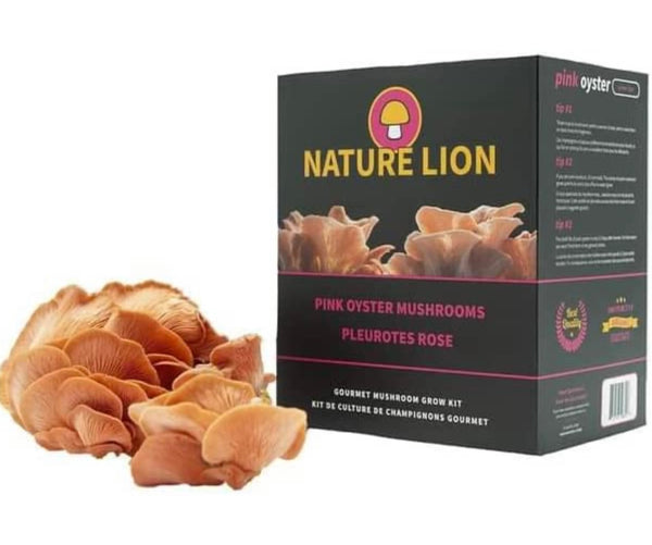 Naturelion - Pink Oyster Mushroom Grow Kit