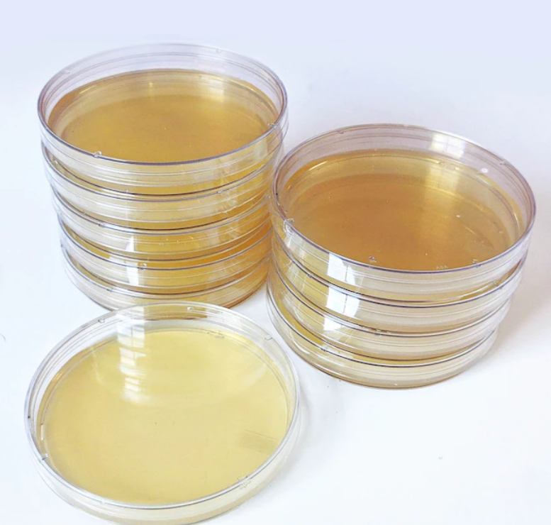 Pre-Pour Agar Petri Dish (10 pack)